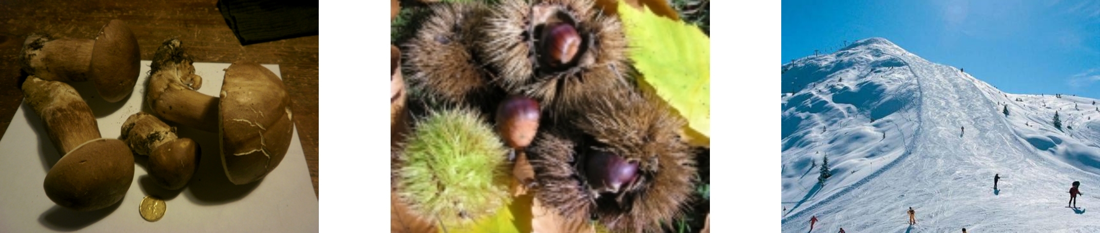 Trittico x cosa autunno-inverno